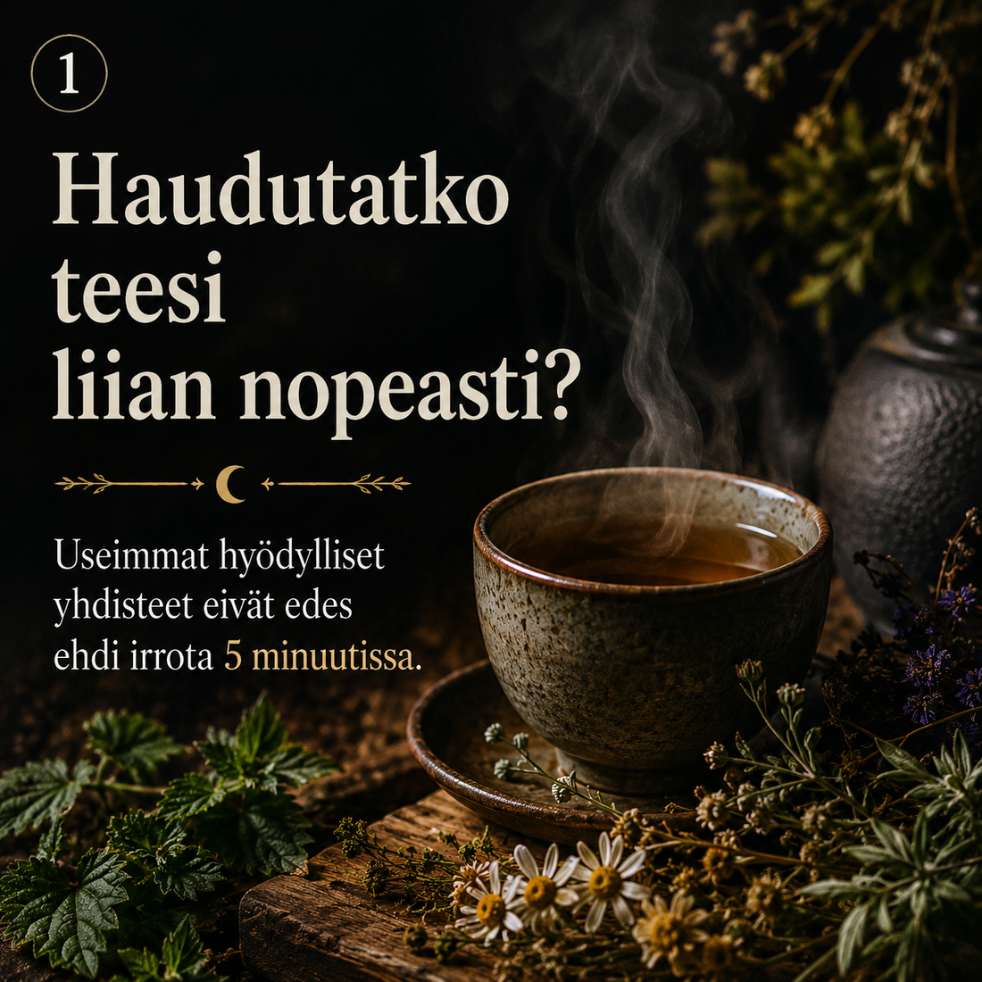 Haudutatko teesi liian nopeasti?